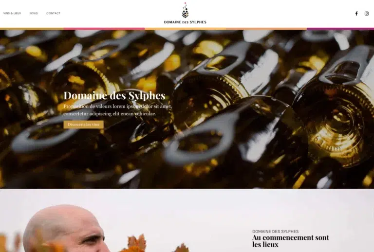 Domaine des Sylphes - Viticulteur - Référence de site - création par Raphiste-2