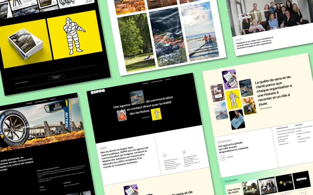 Agence SEPPA - Cas client - Refonte du site internet - Portfolio